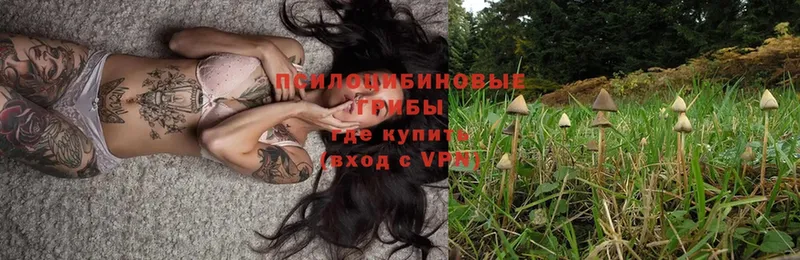 Псилоцибиновые грибы Magic Shrooms  Мурманск 